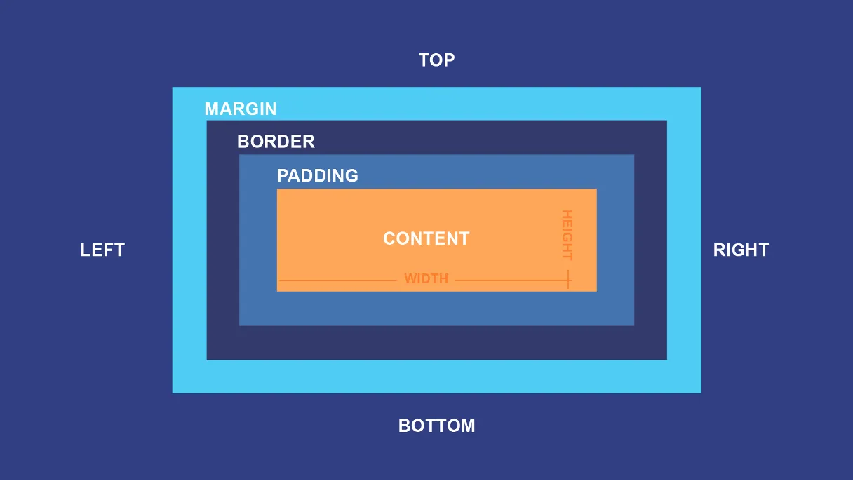 CSS Box Model